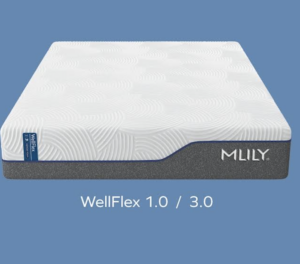 WellFlex Mattress by MLILY