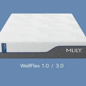 WellFlex Mattress by MLILY