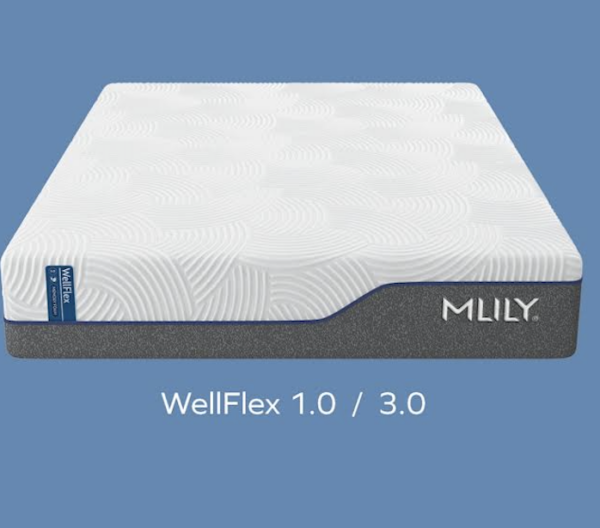 WellFlex Mattress by MLILY