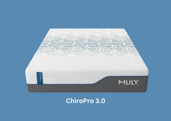 ChiroPro 3.0