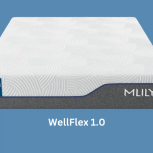 WellFlex 1.0