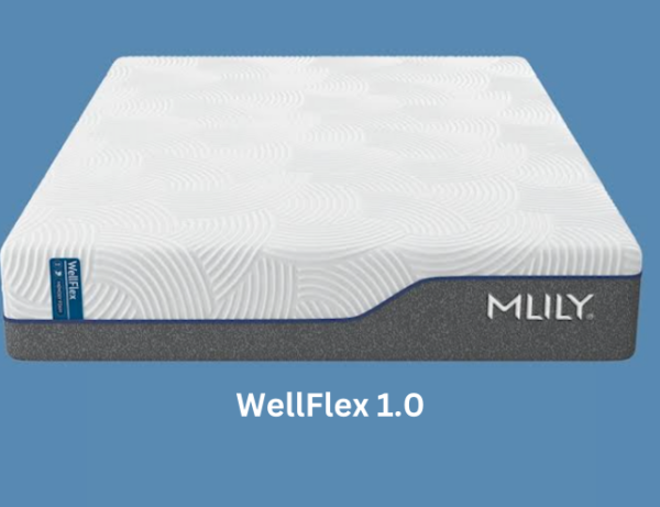 WellFlex 1.0