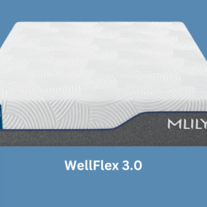 WellFlex 3.0