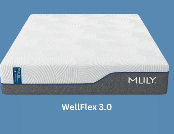 WellFlex 3.0