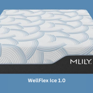 WellFlex Ice 1.0