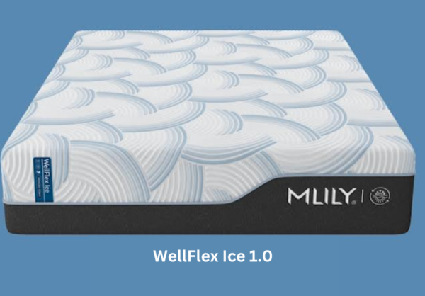 WellFlex Ice 1.0