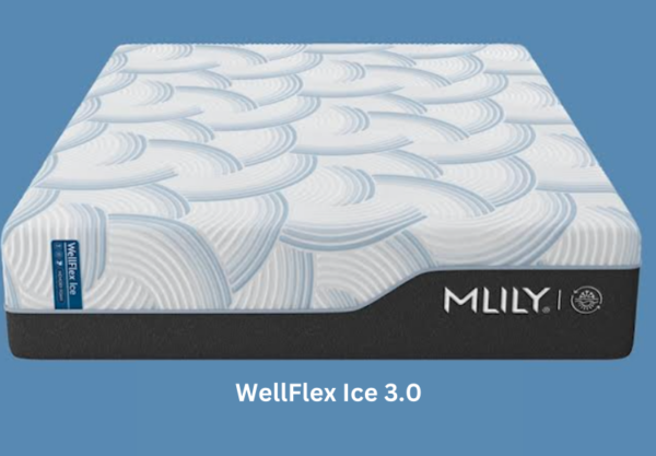 WellFlex Ice 3.0